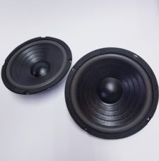 8" 100W LOOSE SPEAKER -SILVER DOME